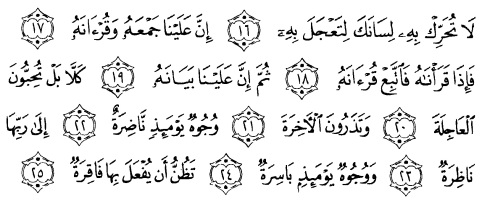 tulisan arab alquran surat al qiyaamah ayat 16-25