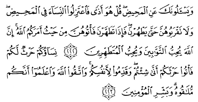 Surah Al Baqarah Ayat 222