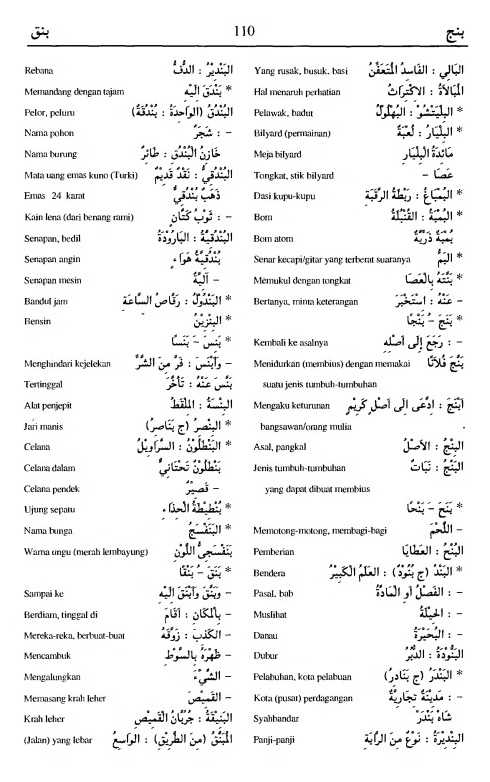 110. kamus arab almunawir -banaja-banaqa