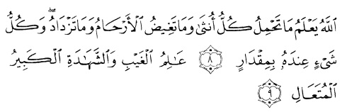 tulisan arab alquran surat ar ra'du ayat 8-9
