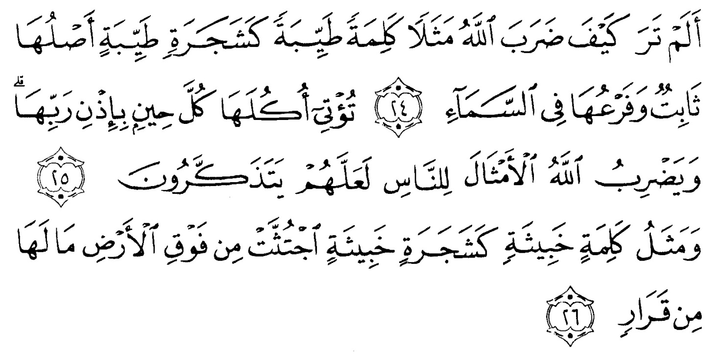 tulisan arab alquran surat ibrahim ayat 24-26